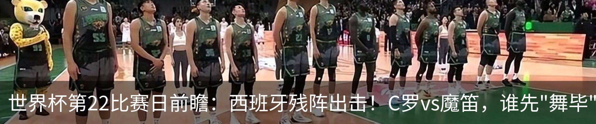 新闻动态