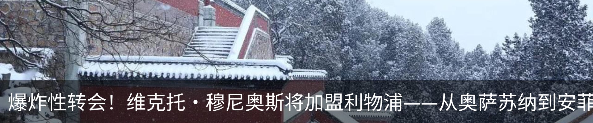 新闻动态